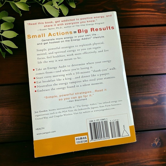 Energy Addict by Jon Gordon (Paperback) Good Condition, Selfhelp - Picture 2 of 7